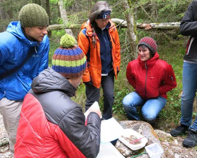 Alpinpark Angertalweg