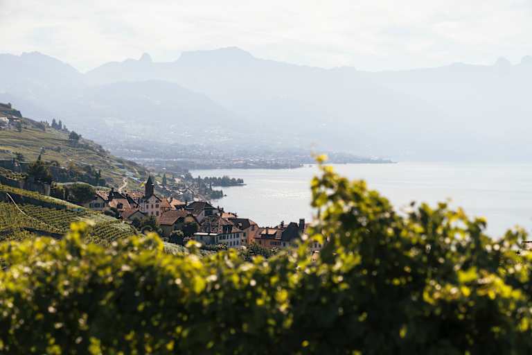 Schweiz-Tourismus-1