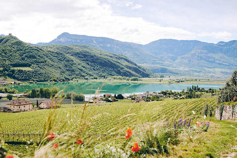 Panorama Kalterer See in Süditrol