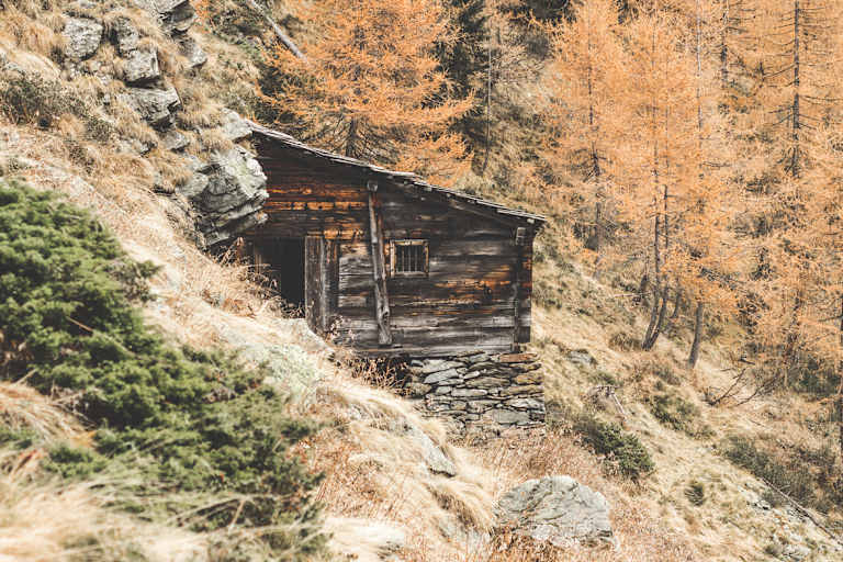 Wangenitzalm