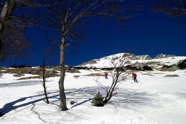 „Wurzleiten", Ybbstaler Alpen