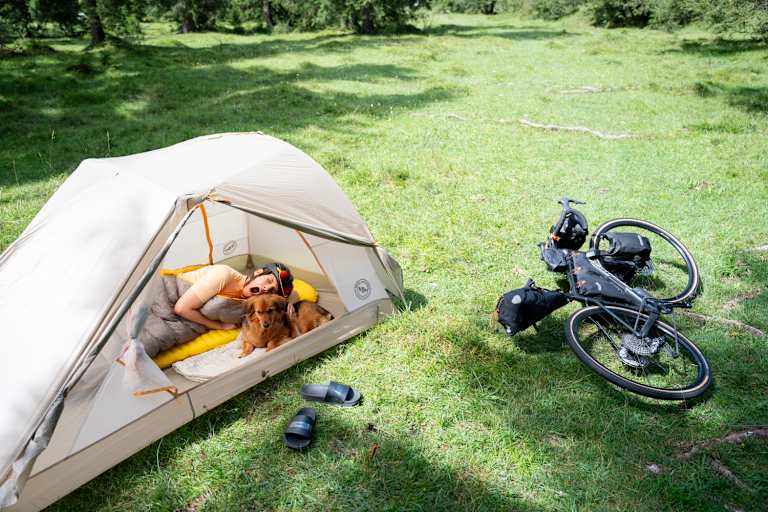 velux markise elektrisch Hitzeschutz-Markise, PK06, P06, Schwarz Whippet Color:Red - Light Resistance Campingplatz Concarneau: 5-Sterne-Campingplatz in