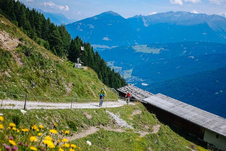 Mountainbiken MTB Forststraße