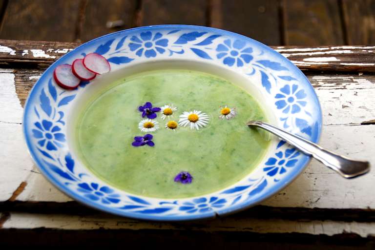 9-Kräuter-Suppe