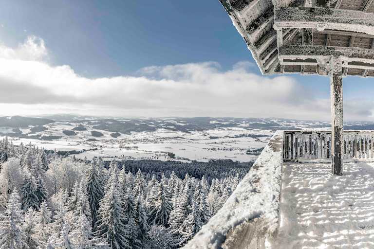 Alpenblick in der Ferienregion Böhmerwald