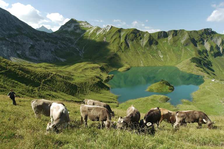 Der Schrecksee mit Alpwirtschaft