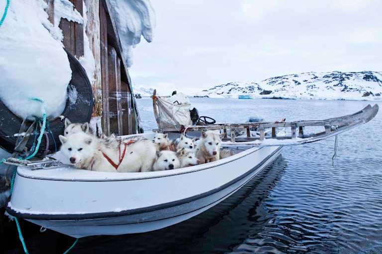 Boot in Grönland