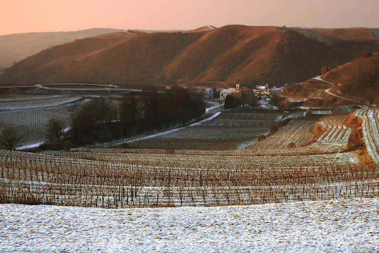 Kaiserstuhl Wandern