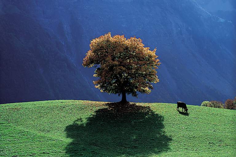 Kanton Uri Herbst