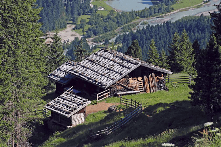 Falbesoner Nockalm – eine gemütliche Wanderung durch die Naturlandschaft.