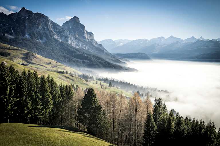 Nebelmeer am Hochstuckli
