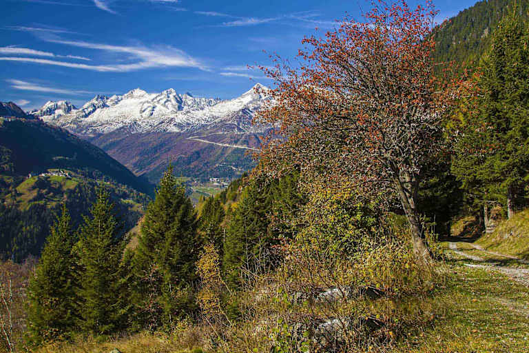 La Strada Alta