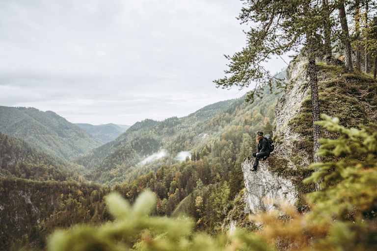 Luchstrail im Nationalpark Kalkalpen