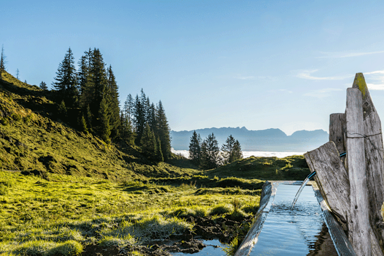 Saalfelden Leogang (c) Peter Kühnl