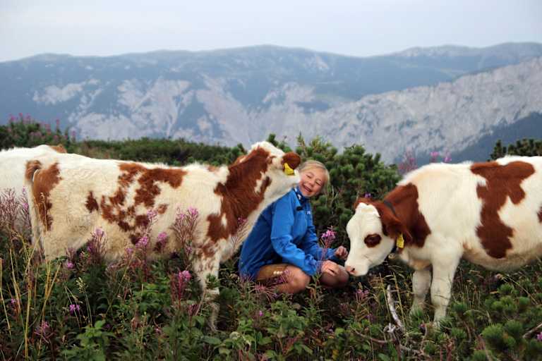 Mathias Kautzky Auf der Alm