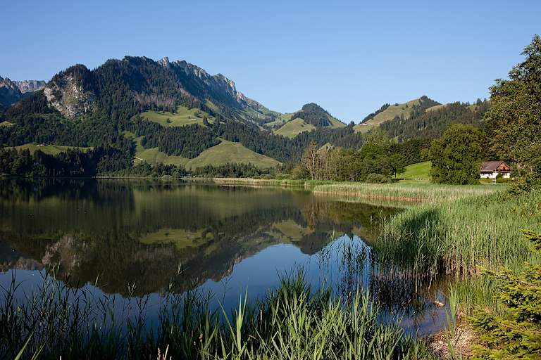 Schwarzsee Freiburg