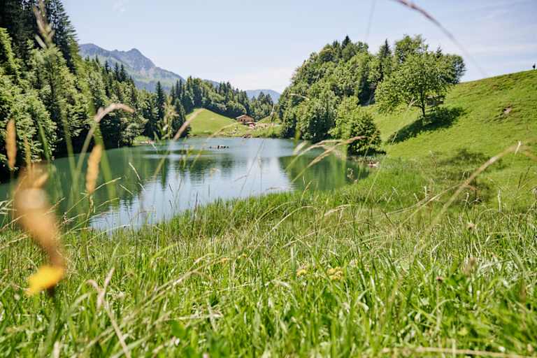 Der Seewaldsee