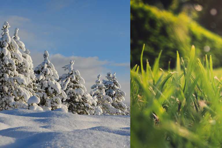 Spätwinter