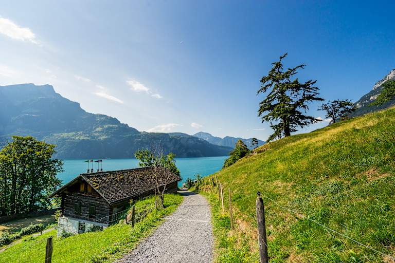 Sagenhafte Blicke auf den Vierwaldstättersee am Waldstätterweg