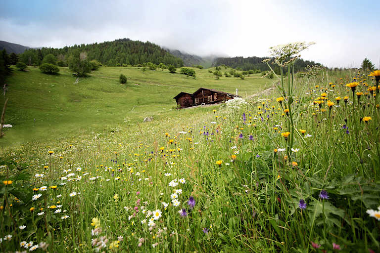 Wallis Galmihornhütte