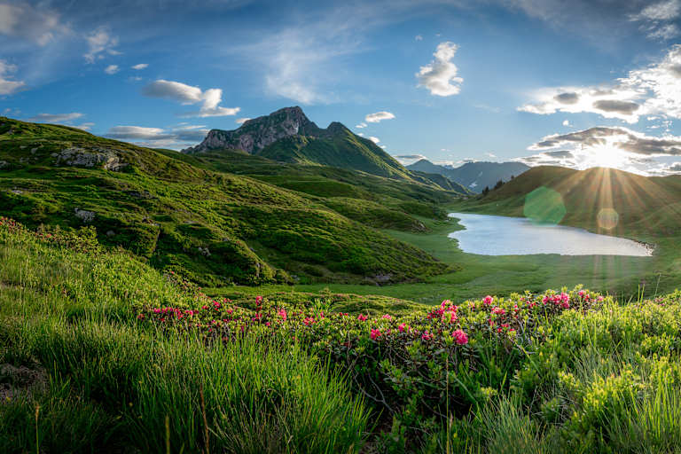 Der Zollnersee in Kärnten, saftige Almwiesen