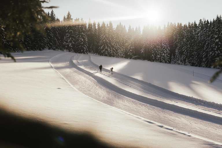 Langlaufen ist eine der gesündesten Winteraktivitäten.
