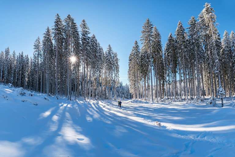 Winterwandern vor schönster Kulisse
