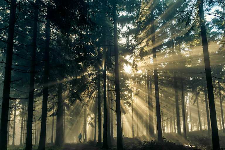 Taunus in Hessen