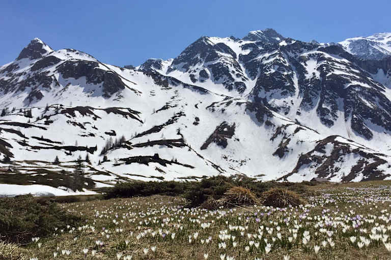 aufmacher_touren_schweiz