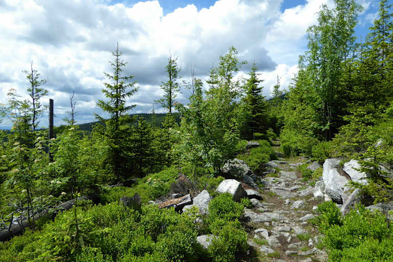 bayerischer-wald