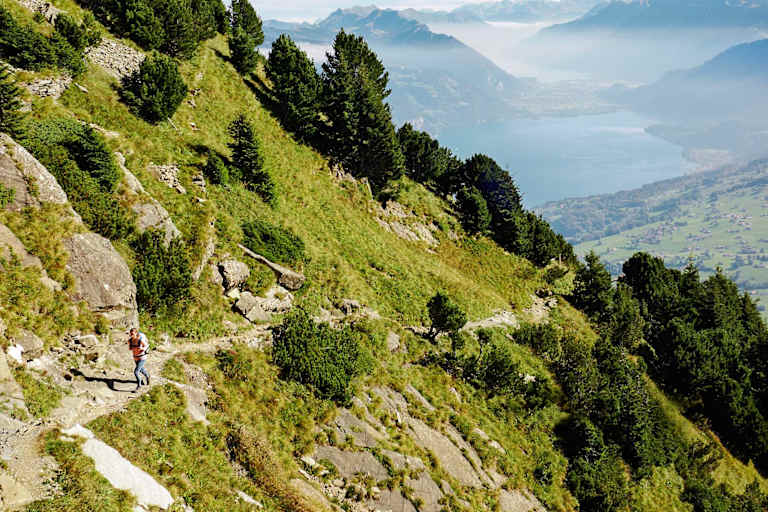 Wandern Niesen Schweiz Bergwelten