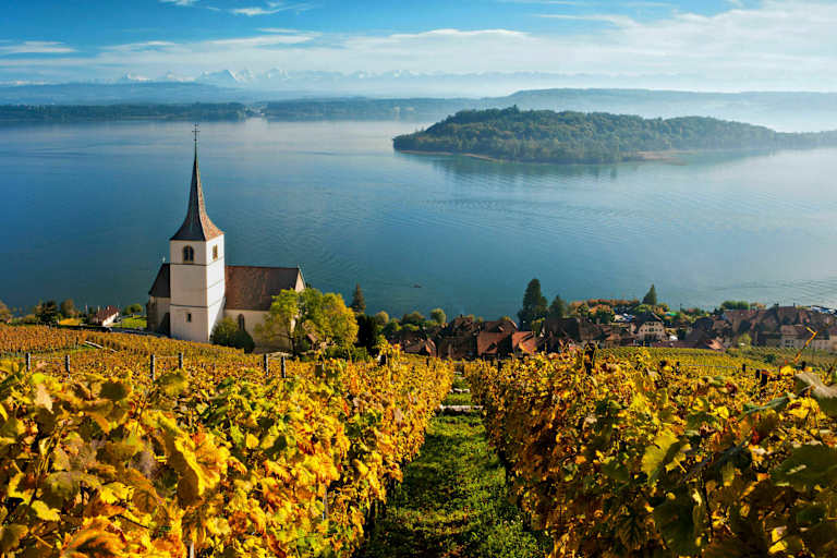 Rebberge am Bielersee im Kanton Bern: Blick auf den See mit der St. Petersinsel