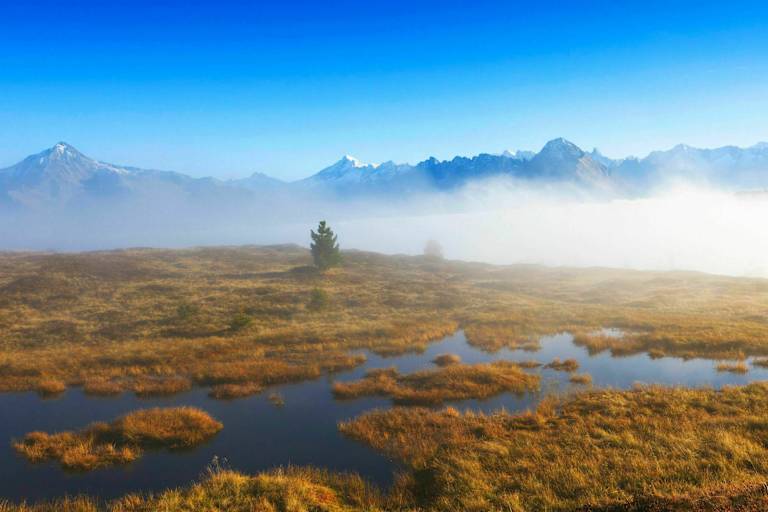 Welttag der Feuchtgebiete: Hochmoor in Tirol
