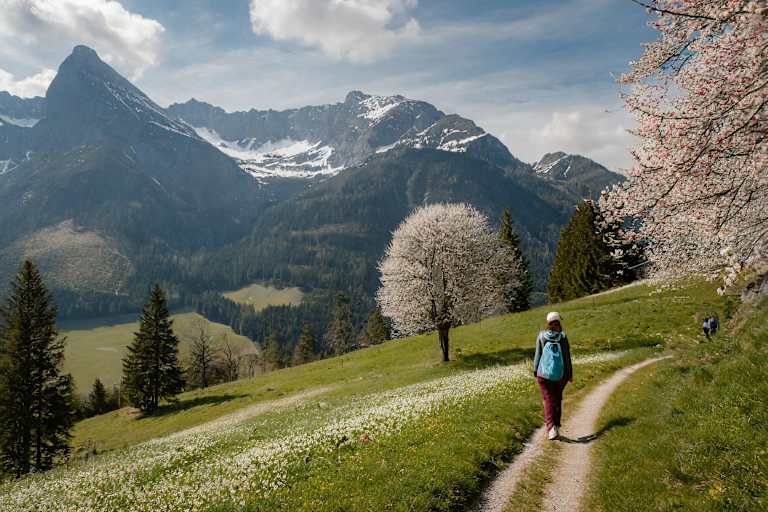 KI Berglandschaft
