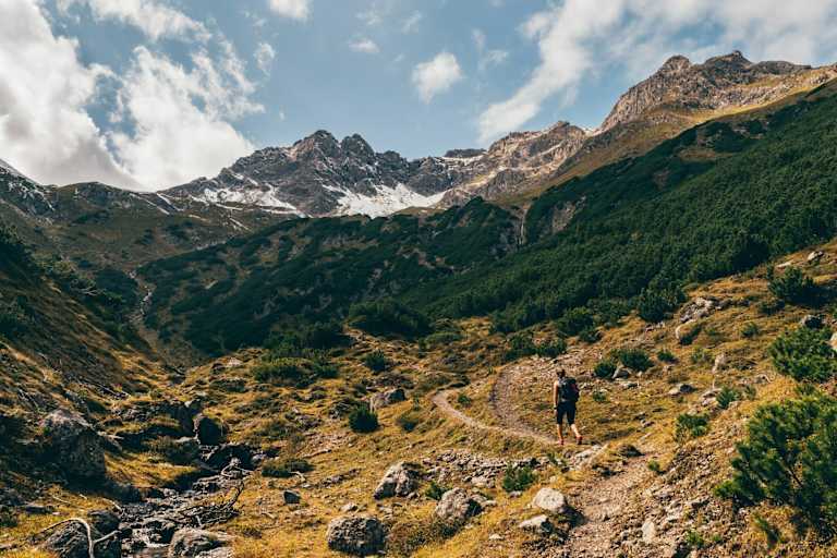 Heilkraft der Alpen