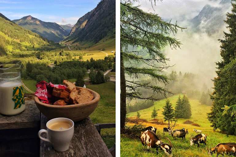 Schule der Alm im Valsertal: Frühstück auf Helgas Alm in Tirol