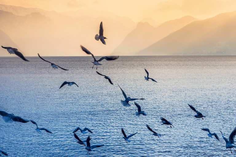 Traunsee bei Gmunden im österreichischen Salzkammergut