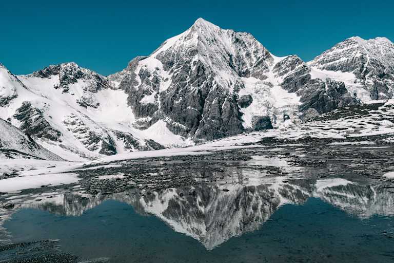 Ortler