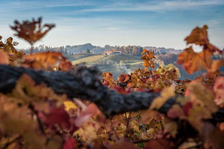 Herbstliche Wanderung durch die Heiligengeistklamm an der südsteirischen Weinstraße bei Leutschach