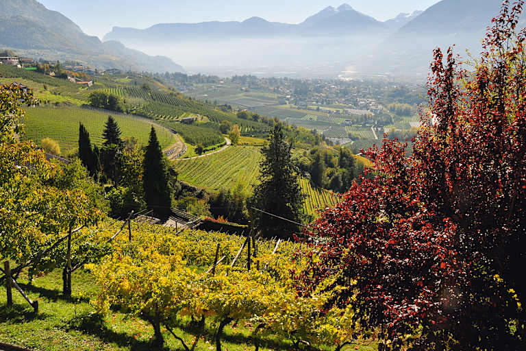 Herbstgenuss rund um Meran