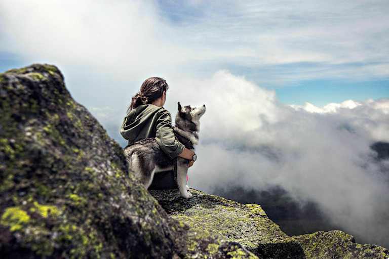 Wandern mit Hund am Berg