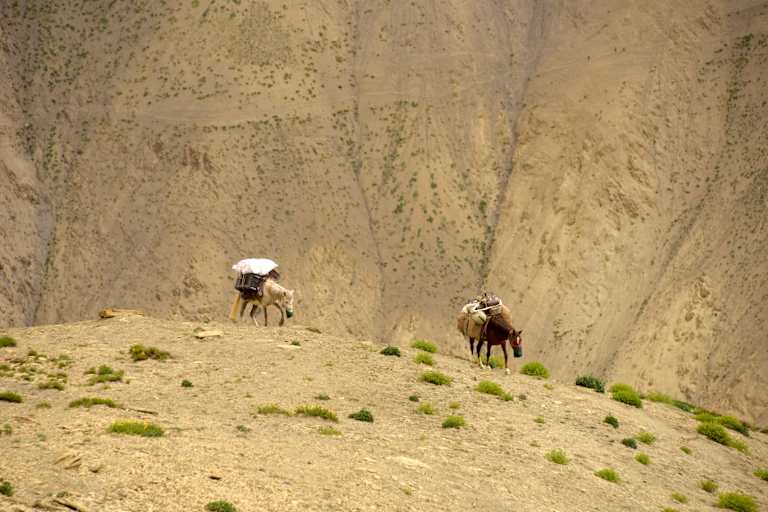 Zanskar Himalaya Trekking