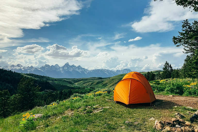 3x3 ac infinity tent Grow Mounting Bars for Indoor Grow Spaces 3x3' Color:Black/White/Bright Red Connect your mobile device Prime Video: Blue Tarps: Year_2023_Make_Ford_Model_Fusion_Engine_2.0L Gas