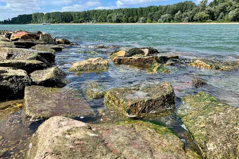 Am Rhein