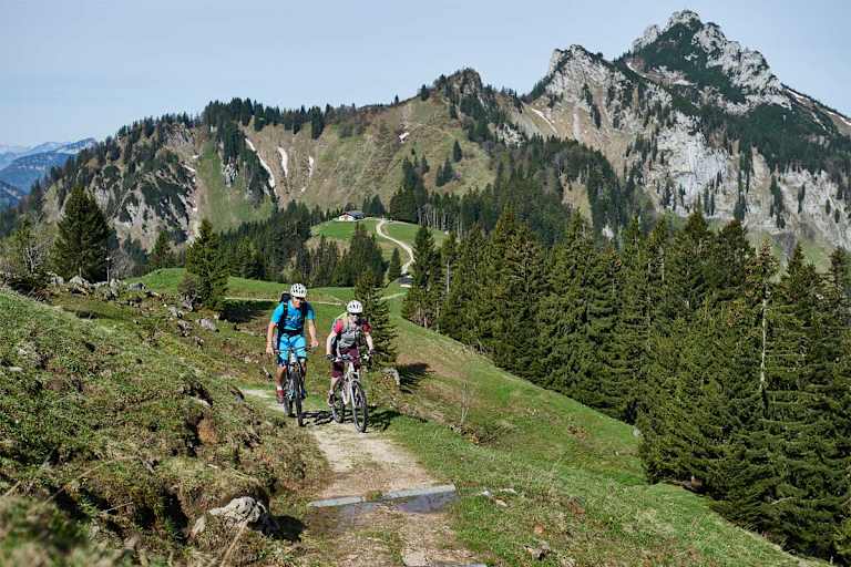 Rachlalm Mountainbike
