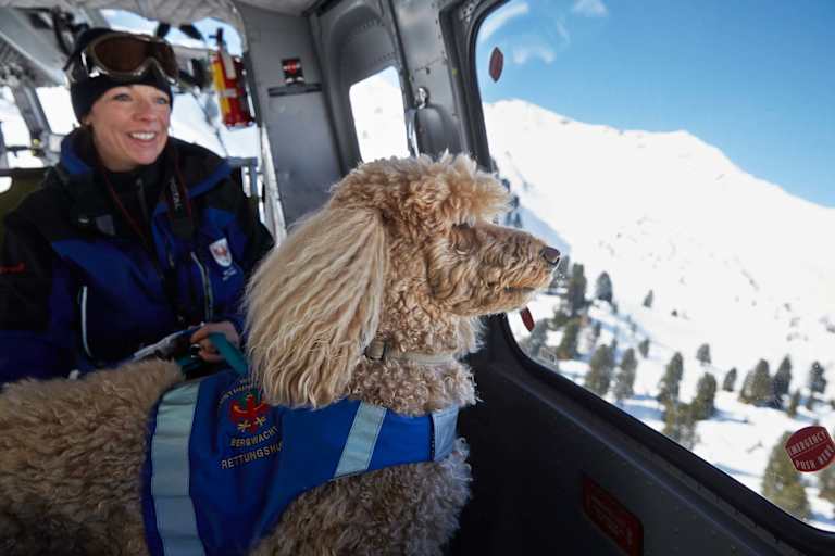 Bergretter und Suchhund im Hubschrauber