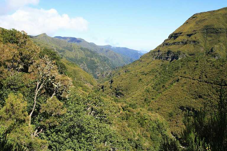 Levada der 25 Quellen: Wandern im Quellgebiet auf der portugiesischen Insel Madeira