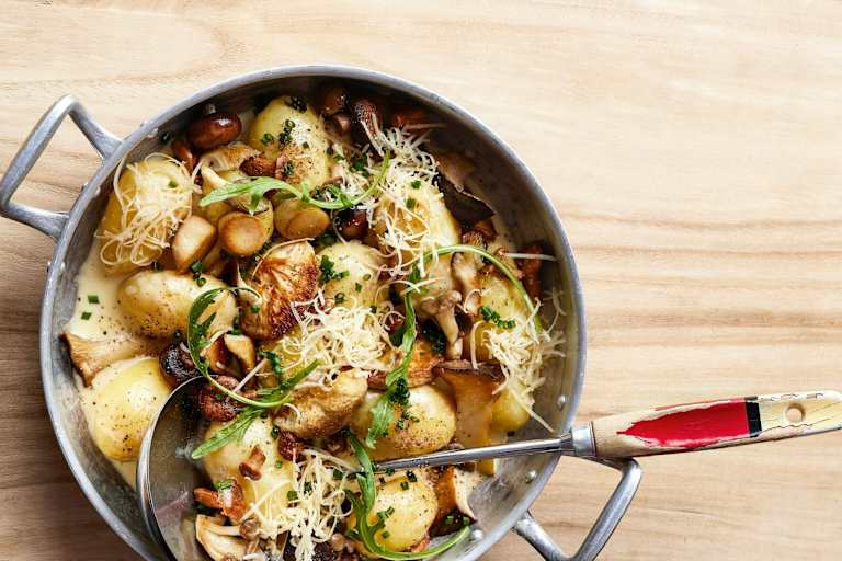 Pilze Rezept
