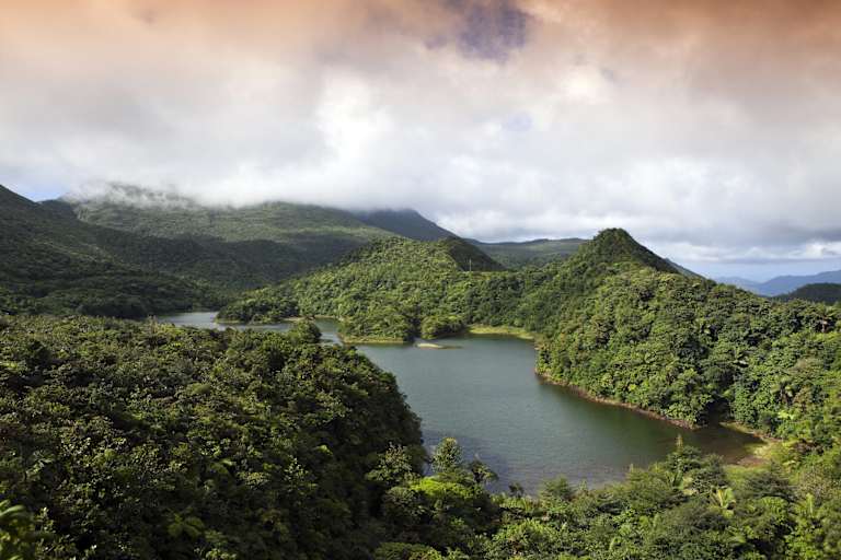 Dominica Wandern Trails