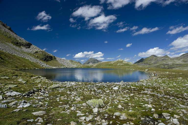 Radsee Silvretta